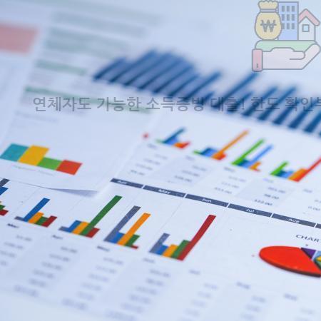 2.연체자도 가능한 소득증빙 대출 한도 확인부터 안전 이용 방법