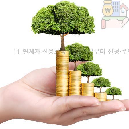 3.11.연체자 신용회복 가능 여부부터 신청·주의사항까지 완벽 정리